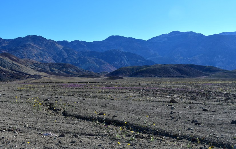 A vast desert landscape featuring dry earth and sparse vegetation, with distant mountains under a clear blue sky.