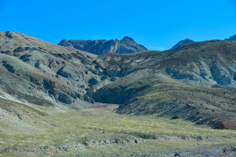 A panoramic view of rolling hills and mountains under a clear blue sky, featuring mixed vegetation and rocky terrain.