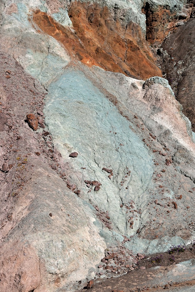 Close-up of a textured rock surface displaying various colors, including shades of blue, gray, and reddish-brown, with patches of vegetation.