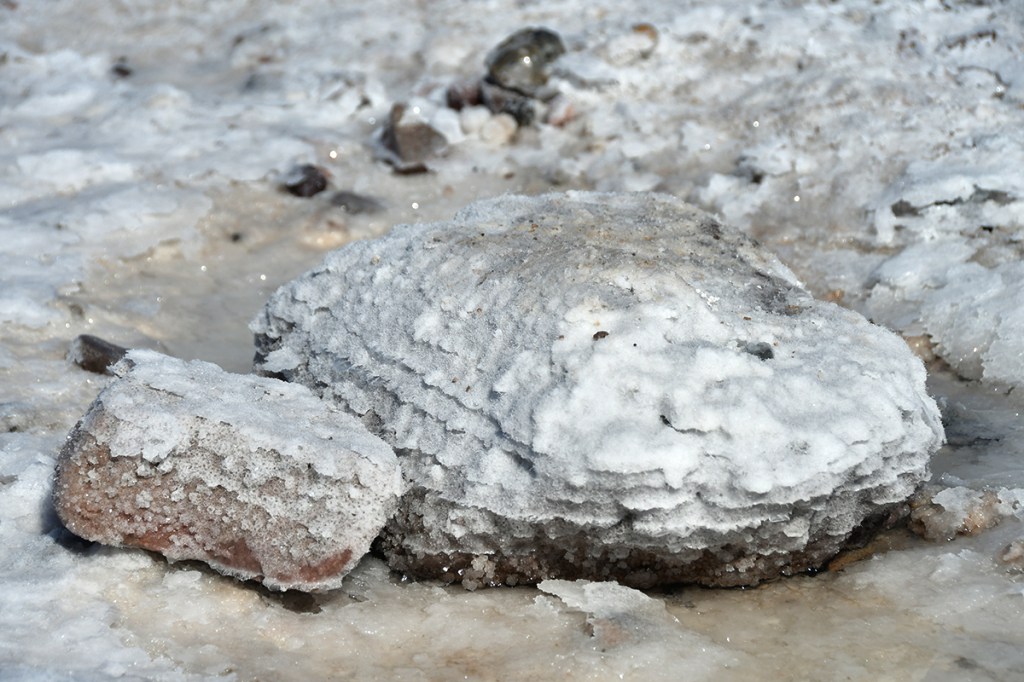 Close-up of salt rocks on a dry, salt-crusted surface, with crystalline formations visible on the stones.