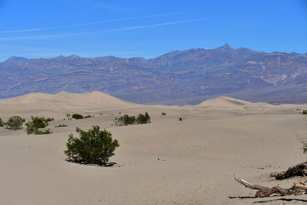 A vast desert landscape with rolling sand dunes, sparse vegetation, and distant mountains under a clear blue sky.