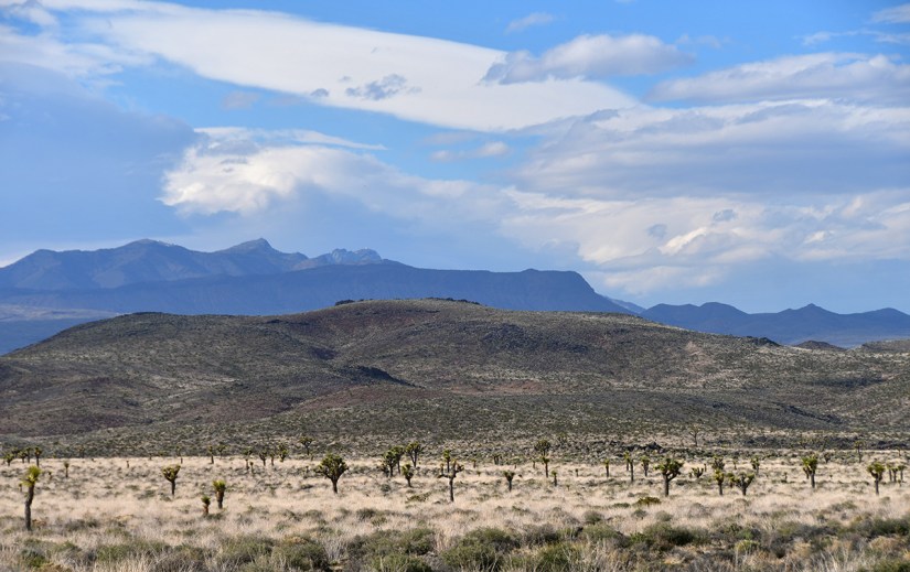 A panoramic view of a desert landscape featuring low hills, scattered vegetation, and distant mountains under a partly cloudy sky.