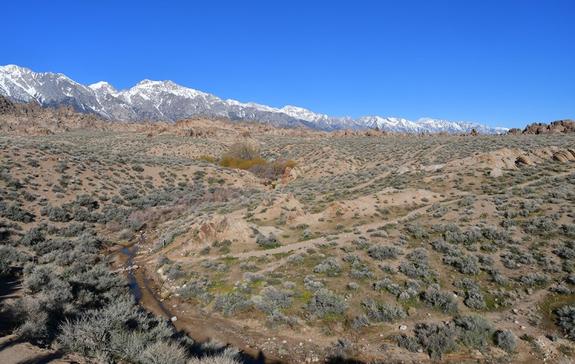 A panoramic view of a desert landscape featuring green shrubs, a winding stream, and snow-capped mountains against a clear blue sky.