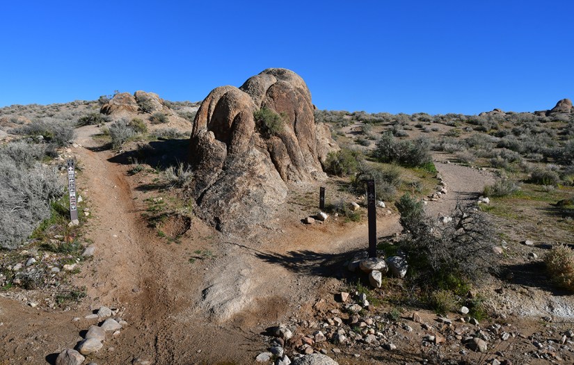A rocky trail diverging into two paths, with large boulders and sparse vegetation under a clear blue sky.
