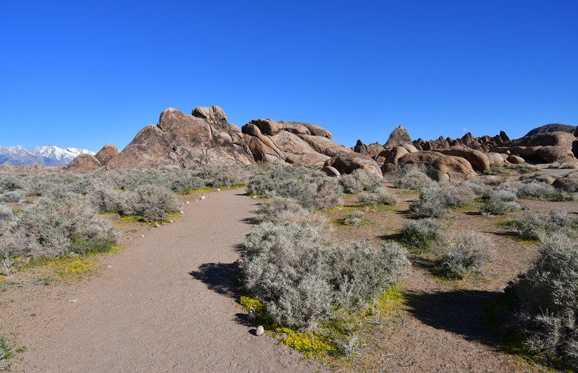 A sandy path leading through a field of sagebrush and boulders, with distant snow-capped mountains under a clear blue sky.