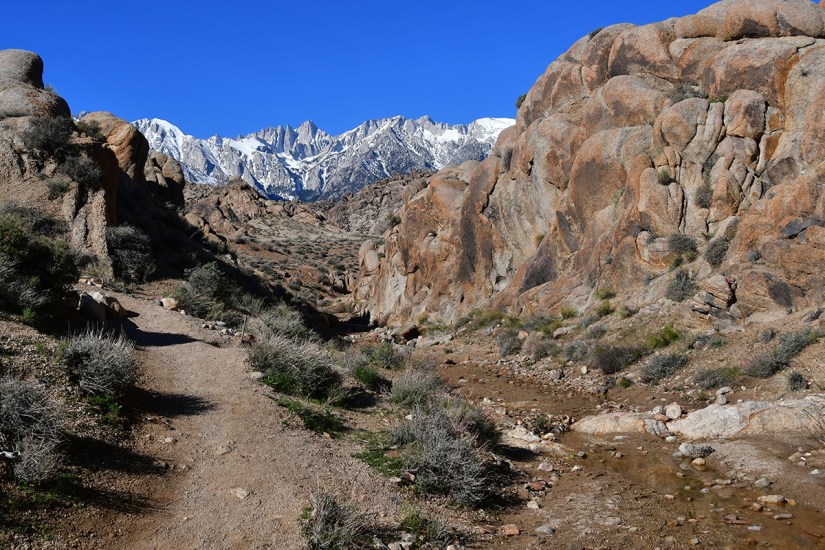 A scenic view of a rocky canyon with a dirt path, surrounded by shrubs and boulders, leading to snow-capped mountains under a clear blue sky.