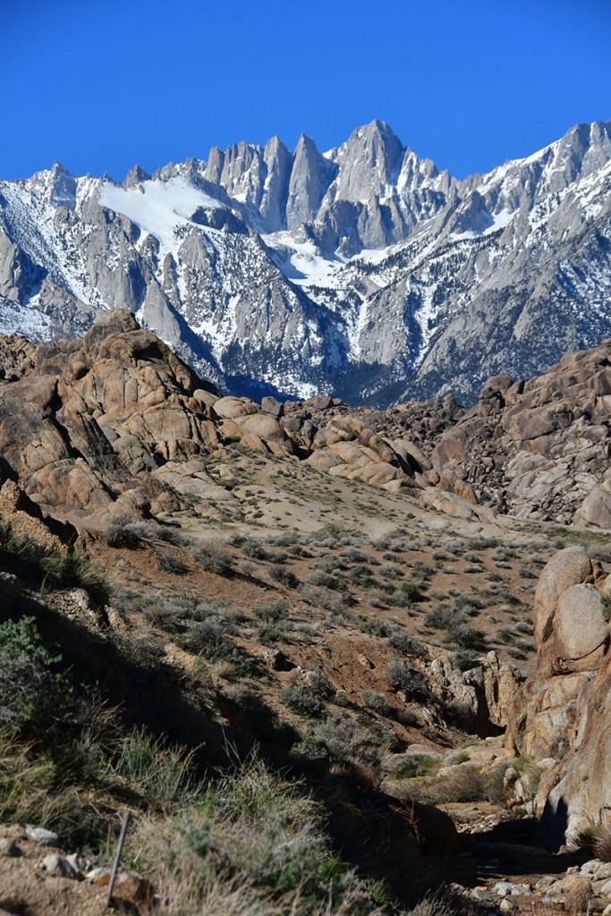A scenic view of snow-capped mountains under a clear blue sky, with rugged rocky terrain and sparse vegetation in the foreground.