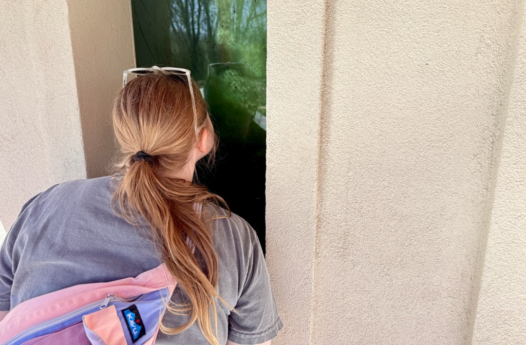 A person with long hair wearing a gray shirt and a pink backpack leans in to look through a glass panel.