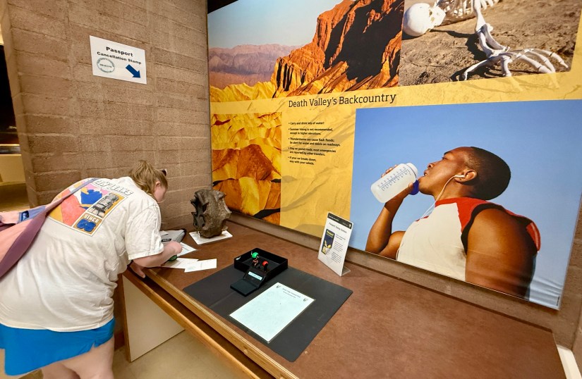 A visitor interacting with a display about Death Valley at a museum, featuring a large wall mural of Death Valley's landscape and a section highlighting the importance of hydration. There is a passport cancellation stamp station visible.