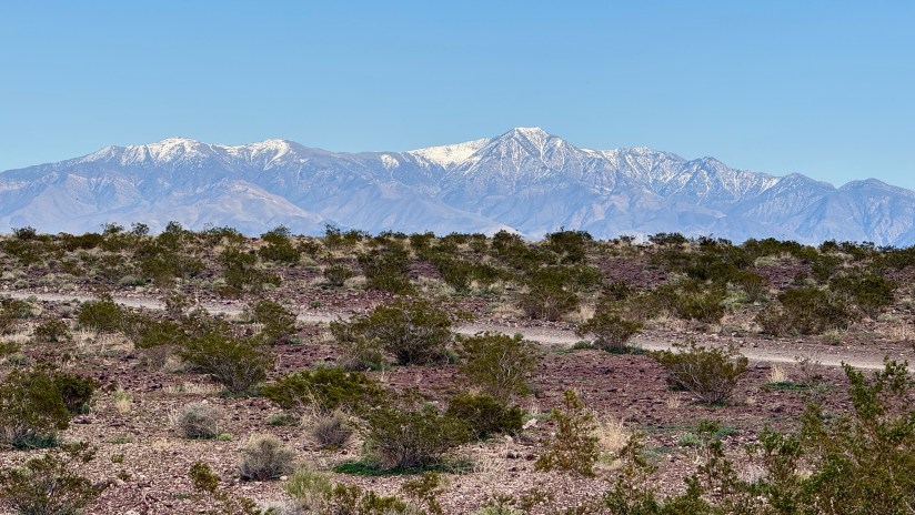 A panoramic view of a desert landscape featuring sparse vegetation in the foreground, with snow-capped mountains towering in the background under a clear blue sky.