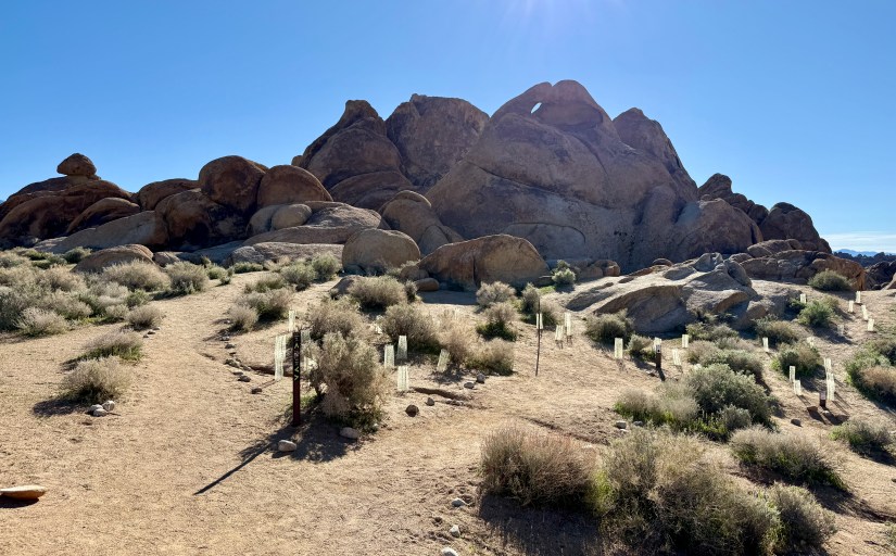 A desert landscape featuring large rock formations and sparse vegetation, with a clear blue sky overhead.