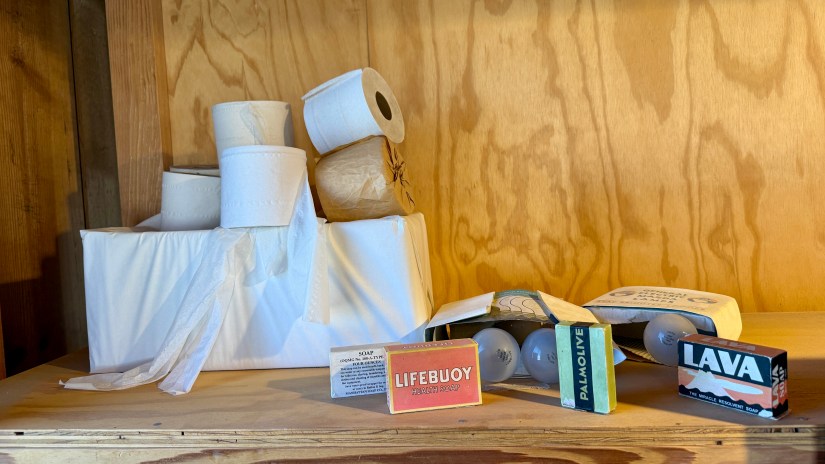 A wooden shelf displaying various bathroom items, including rolls of toilet paper, a box of tissues, and several bars of soap labeled Lifebuoy, Pakoilive, and Lava.