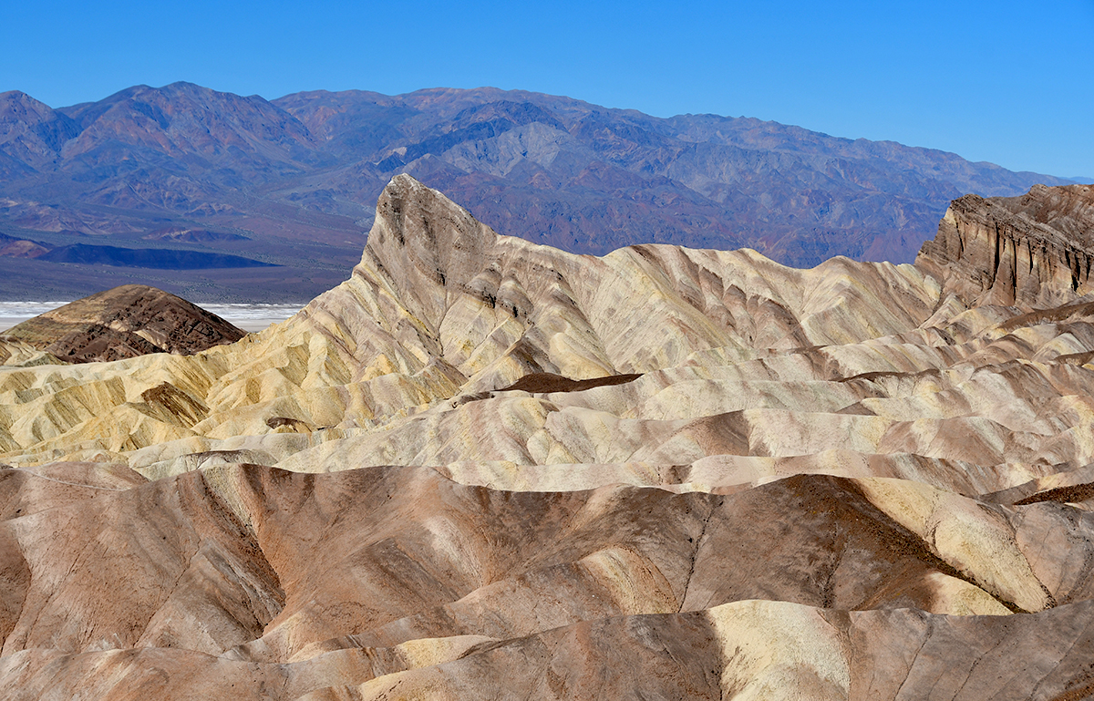 Salt, Sand, and Sierra Mornings: Day 4 – One last jaunt through the&nbsp;desert