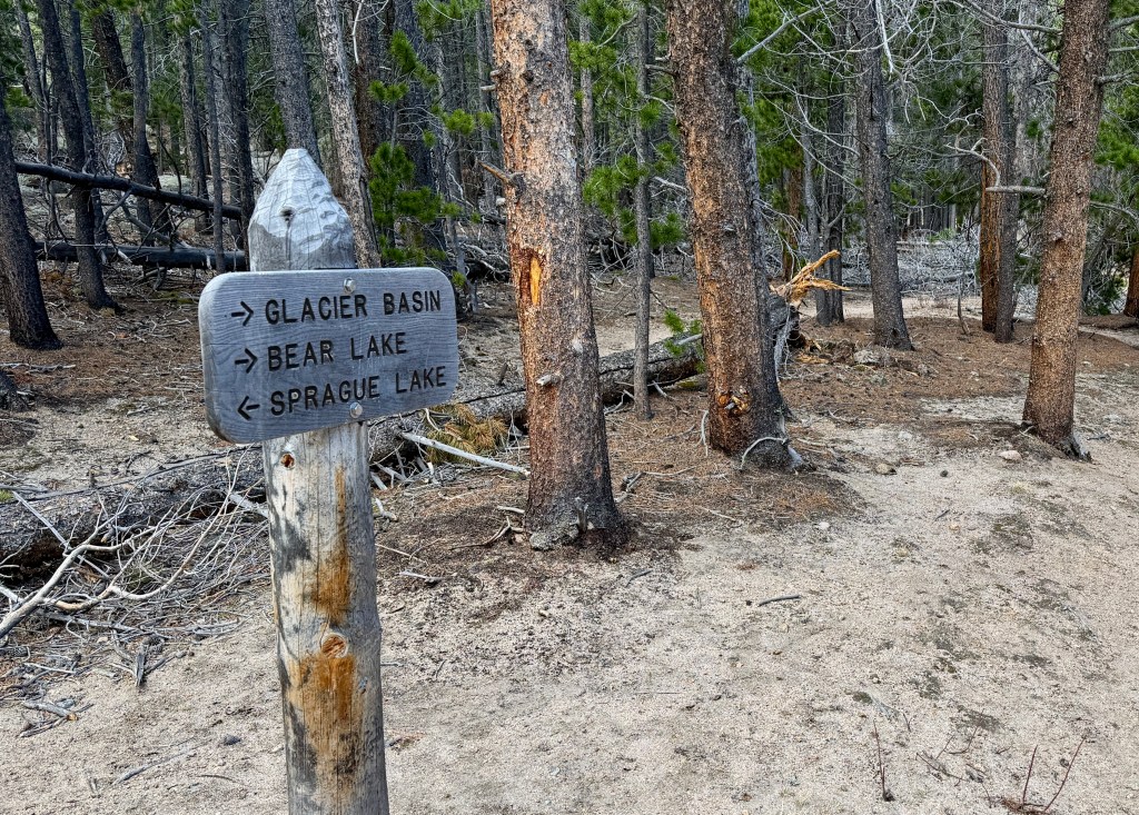 A wooden directional sign in a forest, indicating paths to Glacier Basin, Bear Lake, and Sprague Lake.