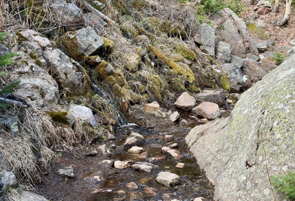 A small creek flowing over rocks and mossy ground in a natural landscape.