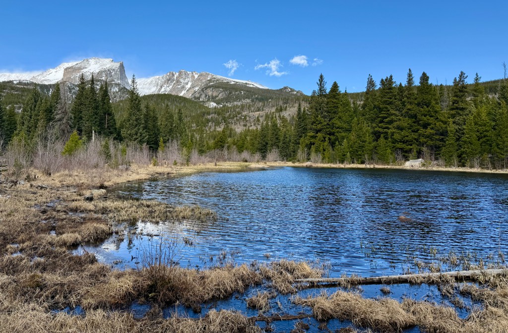 A tranquil pond surrounded by grass and trees, with snow-capped mountains in the background and a clear blue sky.
