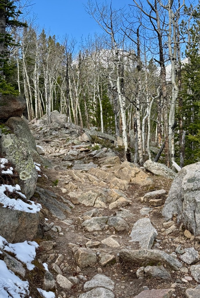 Rocky hiking trail surrounded by aspen trees and boulders, with a clear blue sky above.
