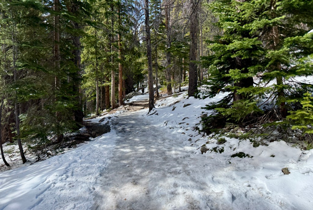A snow-covered trail winding through a dense forest of tall trees, with patches of snow and rocky terrain visible beside the path.