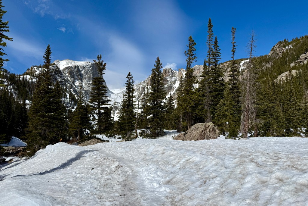 Snow-covered landscape with pine trees and rocky mountains under a blue sky.