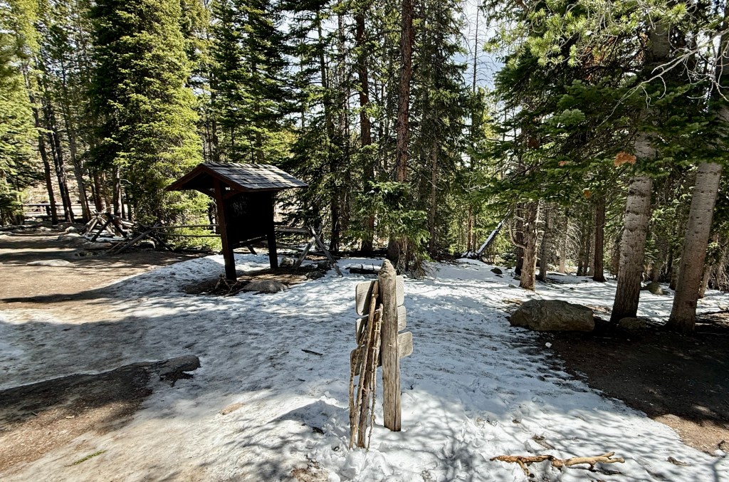 A snowy forest path surrounded by tall evergreen trees, with a small information kiosk on the left and a wooden signpost in the foreground.
