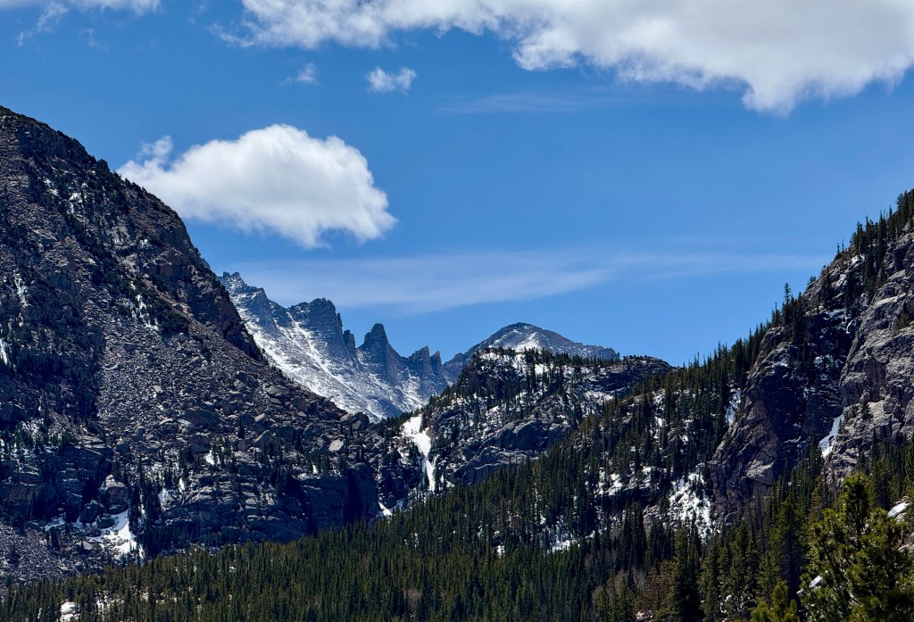 Scenic mountain view with rocky peaks and a blue sky, featuring a mix of snow and green pine trees in the foreground.