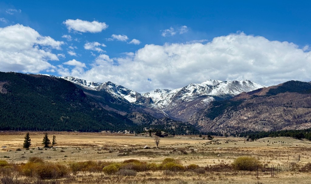 Scenic mountain landscape featuring snow-capped peaks under a blue sky with clouds, surrounded by a grassy meadow and evergreen trees.
