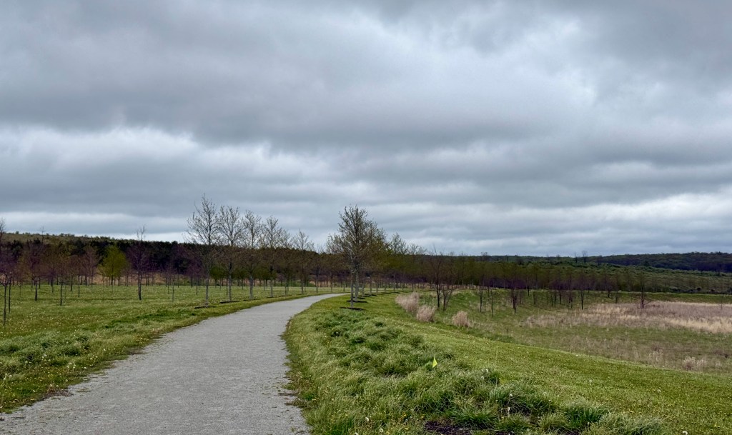 A winding gravel path through a grassy landscape, flanked by young trees, under a cloudy sky.