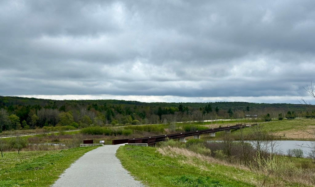 A winding pathway leading to a bridge over a wetland area, surrounded by green vegetation and under a cloudy sky.