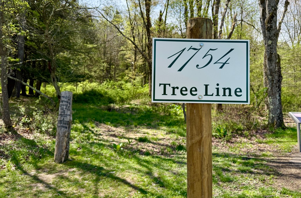 A sign indicating '1754 Tree Line' in a wooded area with greenery and trees in the background.
