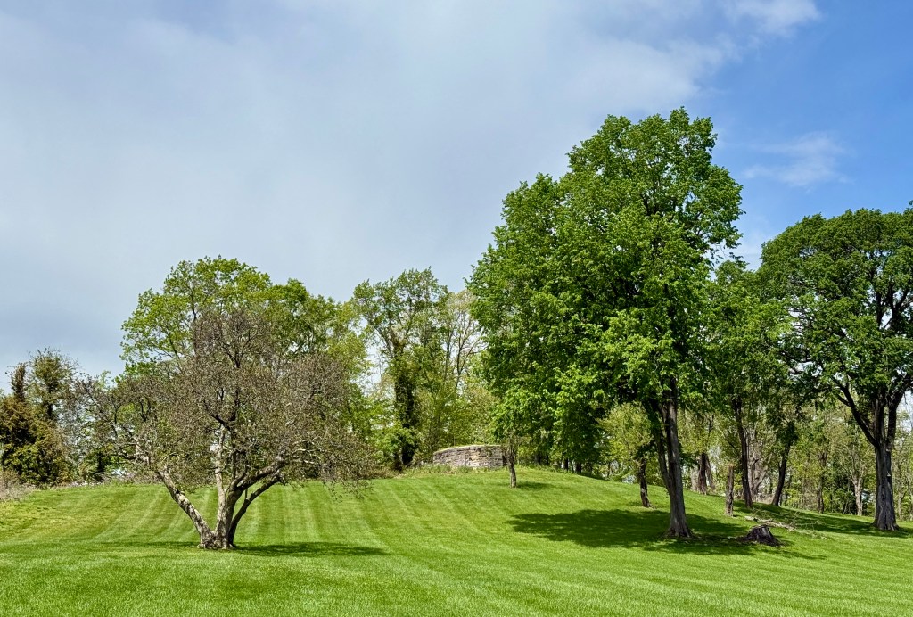 A scenic view of a grassy hillside with several trees under a partly cloudy sky.