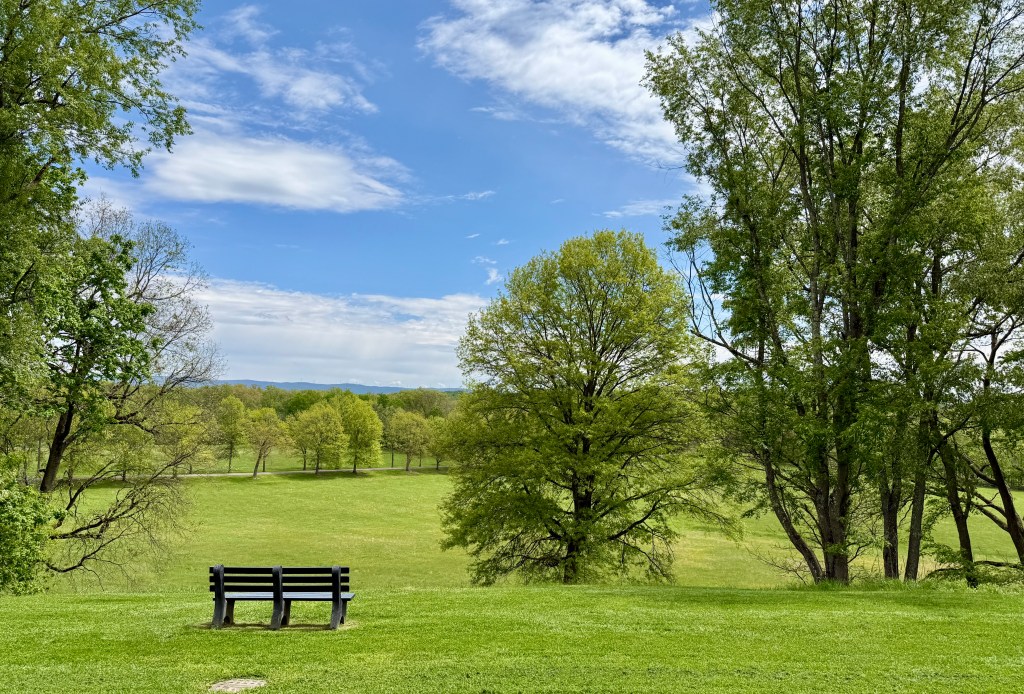 A scenic view of a park with a wooden bench in the foreground, surrounded by lush green grass and large trees, under a partly cloudy blue sky.