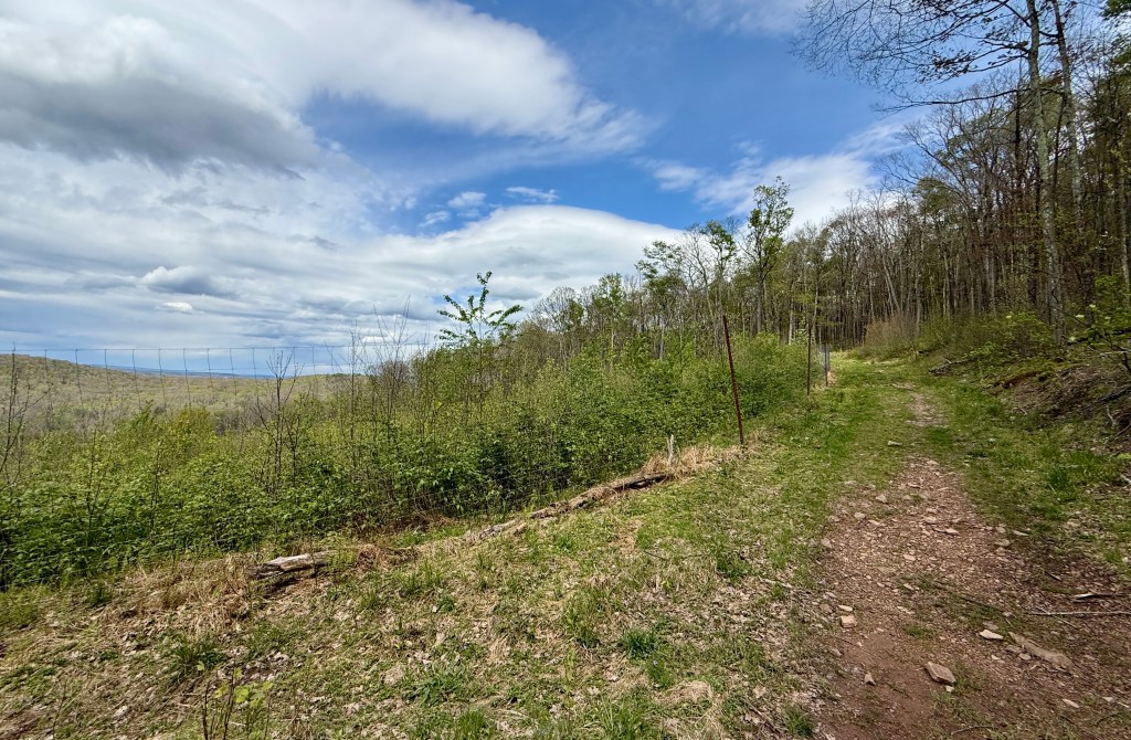 A dirt path winding through a lush green hillside with sparse trees and a cloudy blue sky.