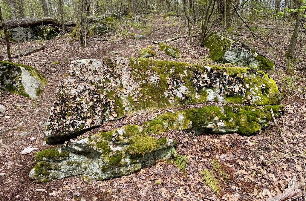 A large moss-covered rock framed by fallen leaves and a forest path, surrounded by trees and underbrush.