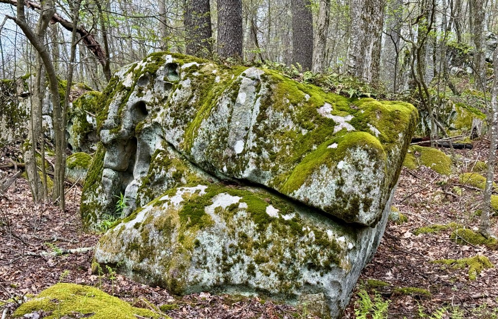 Large moss-covered boulder in a forested area, surrounded by trees and foliage.