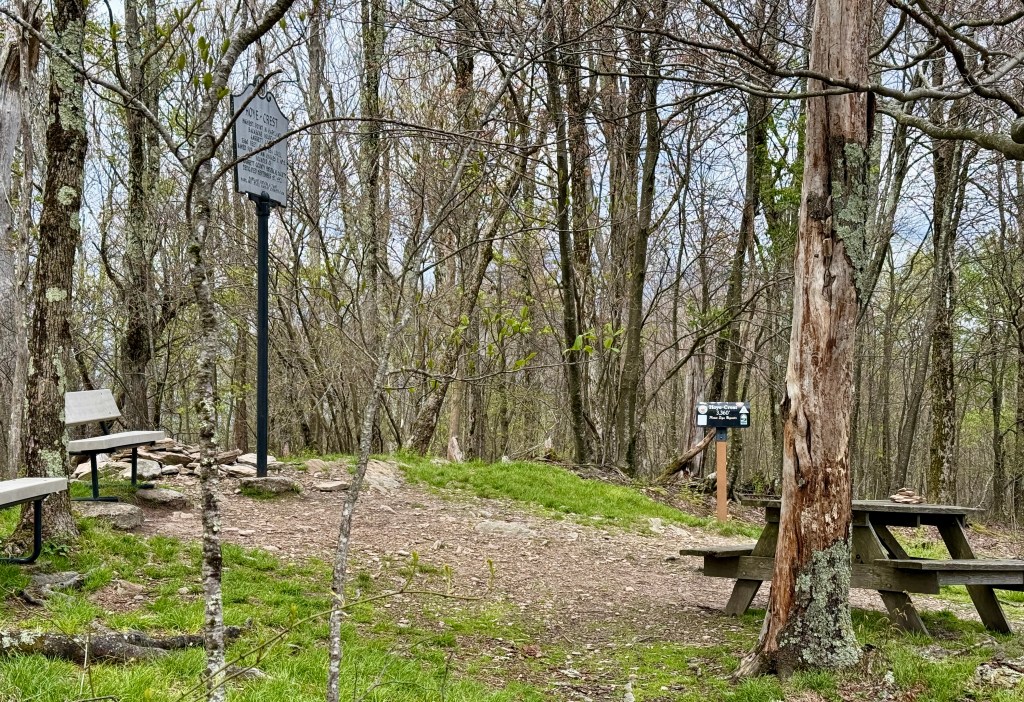 A wooded trail area featuring benches and signs among leafless trees in early spring.