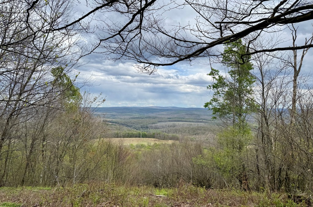 A panoramic view of a mountainous landscape featuring rolling hills and a cloudy sky, framed by bare trees and green foliage.