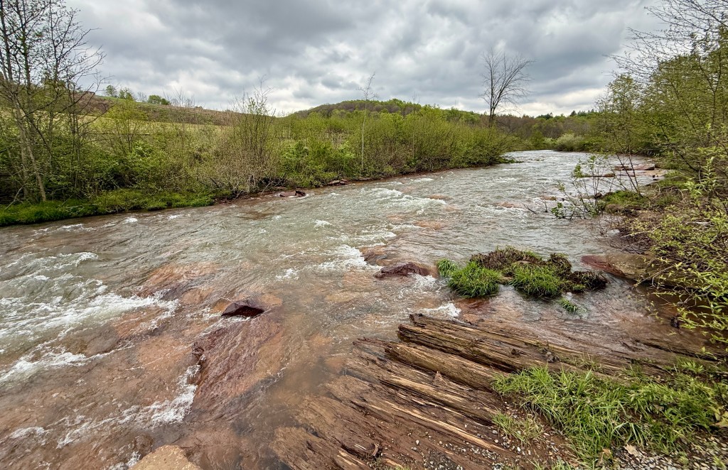 A tranquil river flowing through a green landscape with rocky banks and overcast skies.