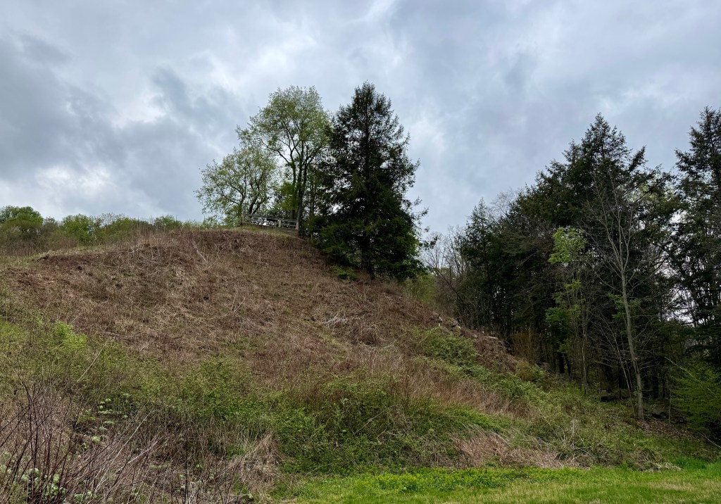 A hillside covered with dry grass and sparse vegetation, featuring a few trees at the top and a cloudy sky above.