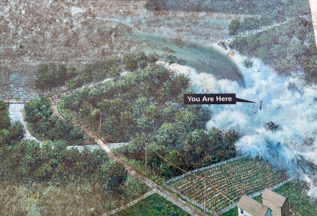 A map highlighting a specific location marked with 'You Are Here,' surrounded by trees, pathways, and a river or water feature.