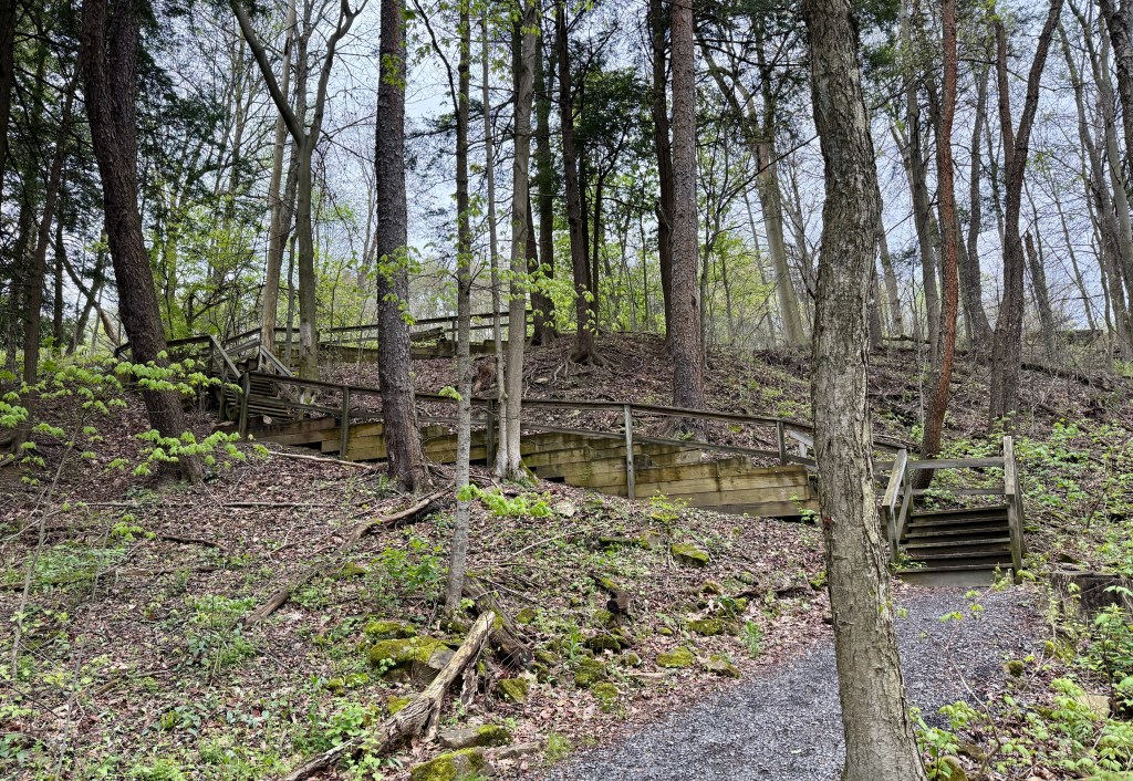Winding wooden staircase leading through a forested area with trees and green foliage.