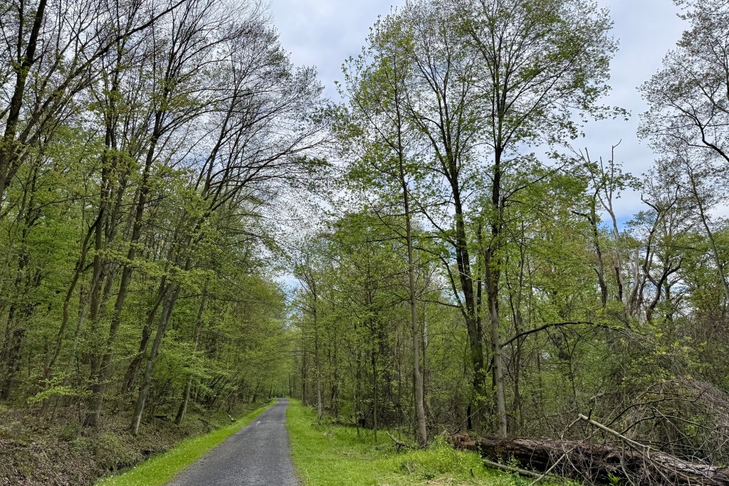 A winding gravel path surrounded by lush green trees and foliage under a partly cloudy sky.