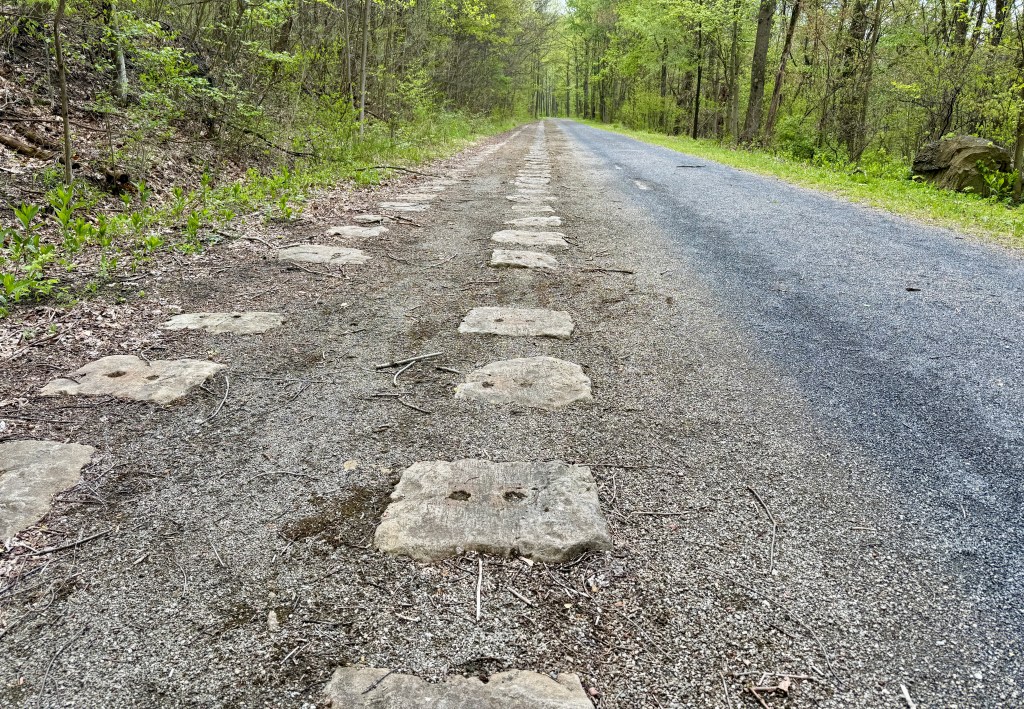 A gravel road lined with rectangular stone blocks, surrounded by lush green trees and foliage on both sides.