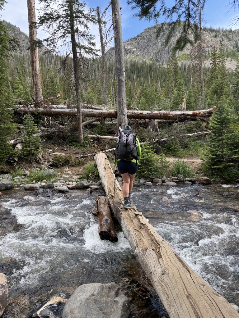 A hiker crossing a log bridge over a flowing creek in a wooded area, surrounded by tall trees and mountainous terrain.