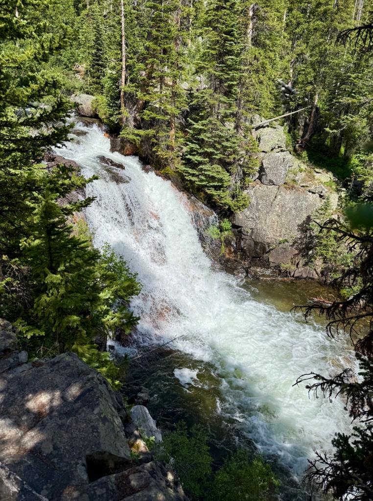 A cascading waterfall surrounded by lush greenery and trees in a natural setting.