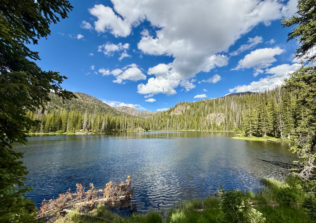 Scenic view of a tranquil lake surrounded by lush green trees and mountains under a partly cloudy blue sky.