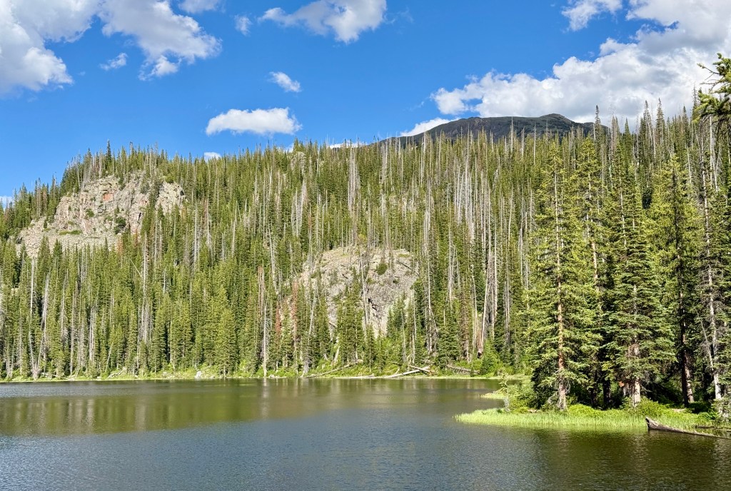 A serene landscape featuring a calm lake bordered by tall evergreen trees and rocky cliffs, under a bright blue sky with scattered clouds.