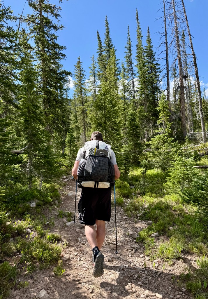 A person hiking on a dirt trail surrounded by tall evergreen trees, carrying a backpack and using trekking poles.