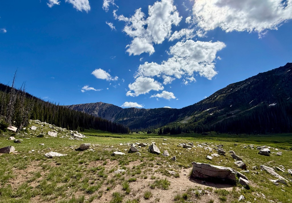 A scenic mountain landscape featuring a wide grassy meadow surrounded by tall trees and rocky terrain under a blue sky with fluffy clouds.