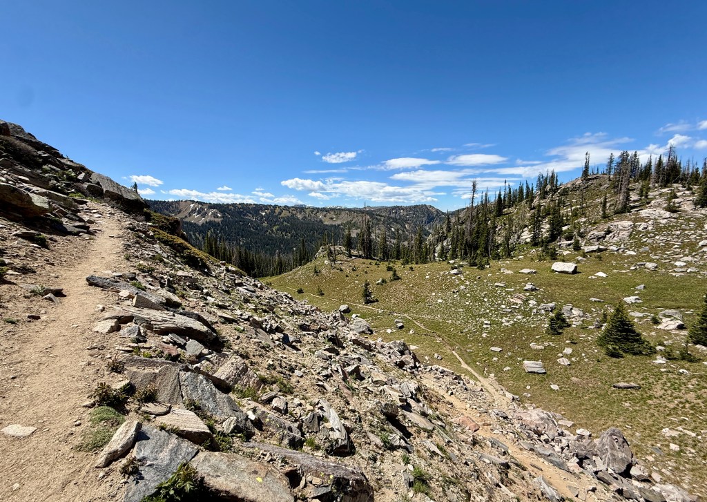 A scenic landscape showing a hiking trail winding through rocky terrain with lush green grass and scattered trees under a clear blue sky.