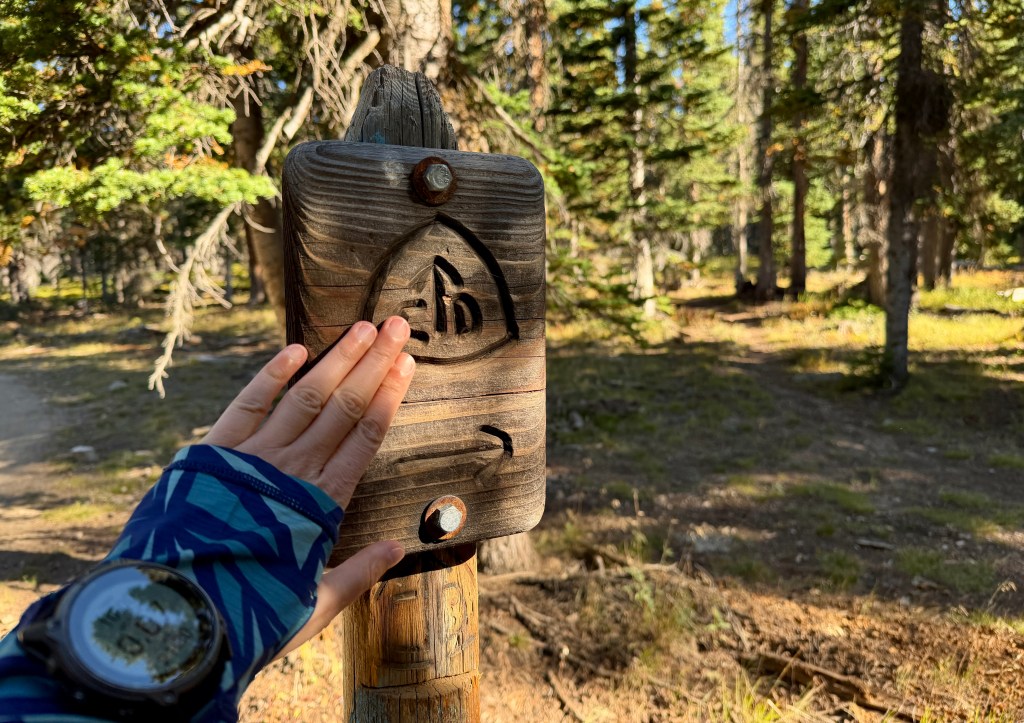 A person placing their hand on a wooden trail sign in a forested area, with a watch visible on their wrist.